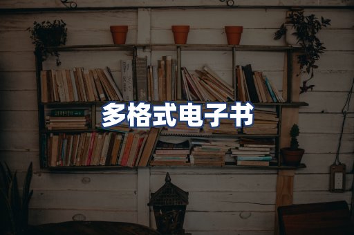 多格式电子书